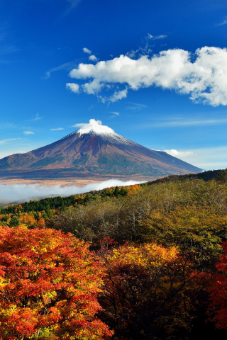 Das Mount Fuji 3776 Meters Wallpaper 320x480
