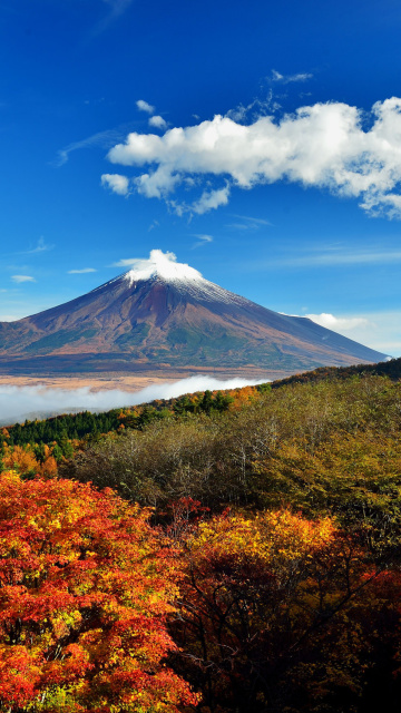 Fondo de pantalla Mount Fuji 3776 Meters 360x640
