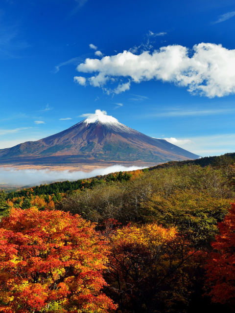 Fondo de pantalla Mount Fuji 3776 Meters 480x640