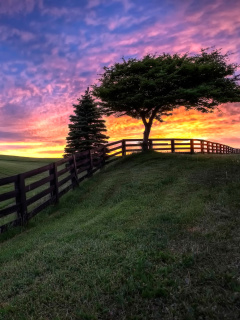 Sfondi Hills Countryside Sunset 240x320