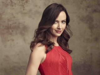 Das Amy Acker Brunette Wallpaper 320x240