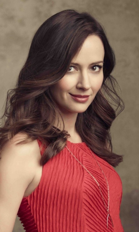 Amy Acker Brunette wallpaper 480x800