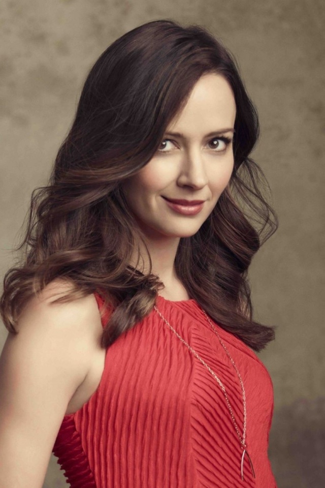 Amy Acker Brunette wallpaper 640x960