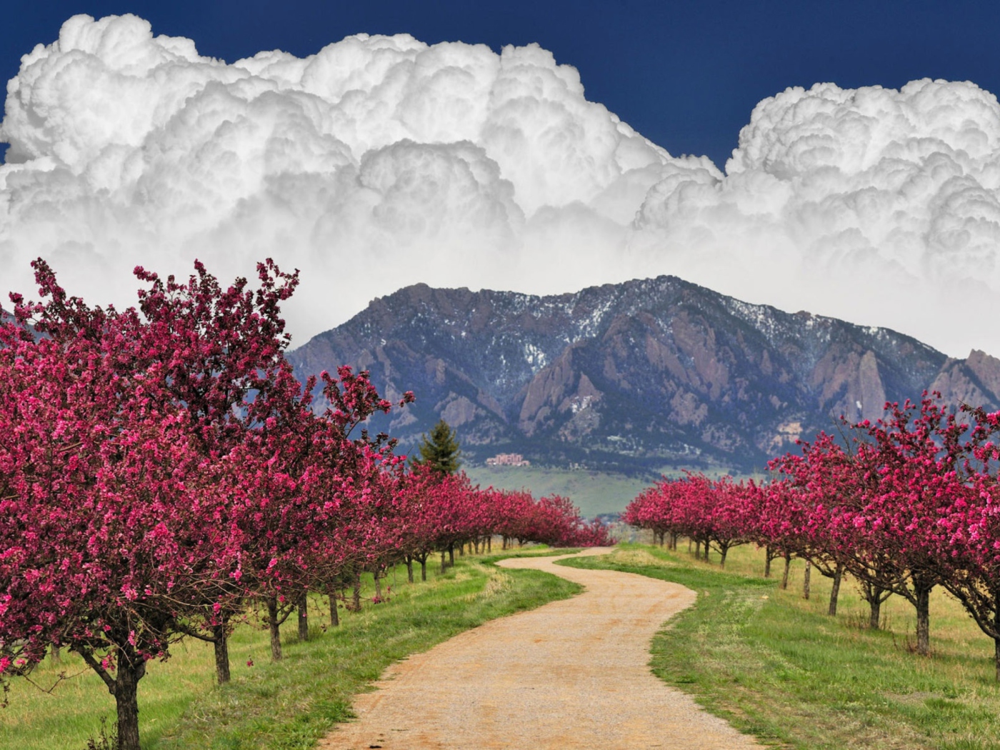 Blooming Orchard screenshot #1 1400x1050