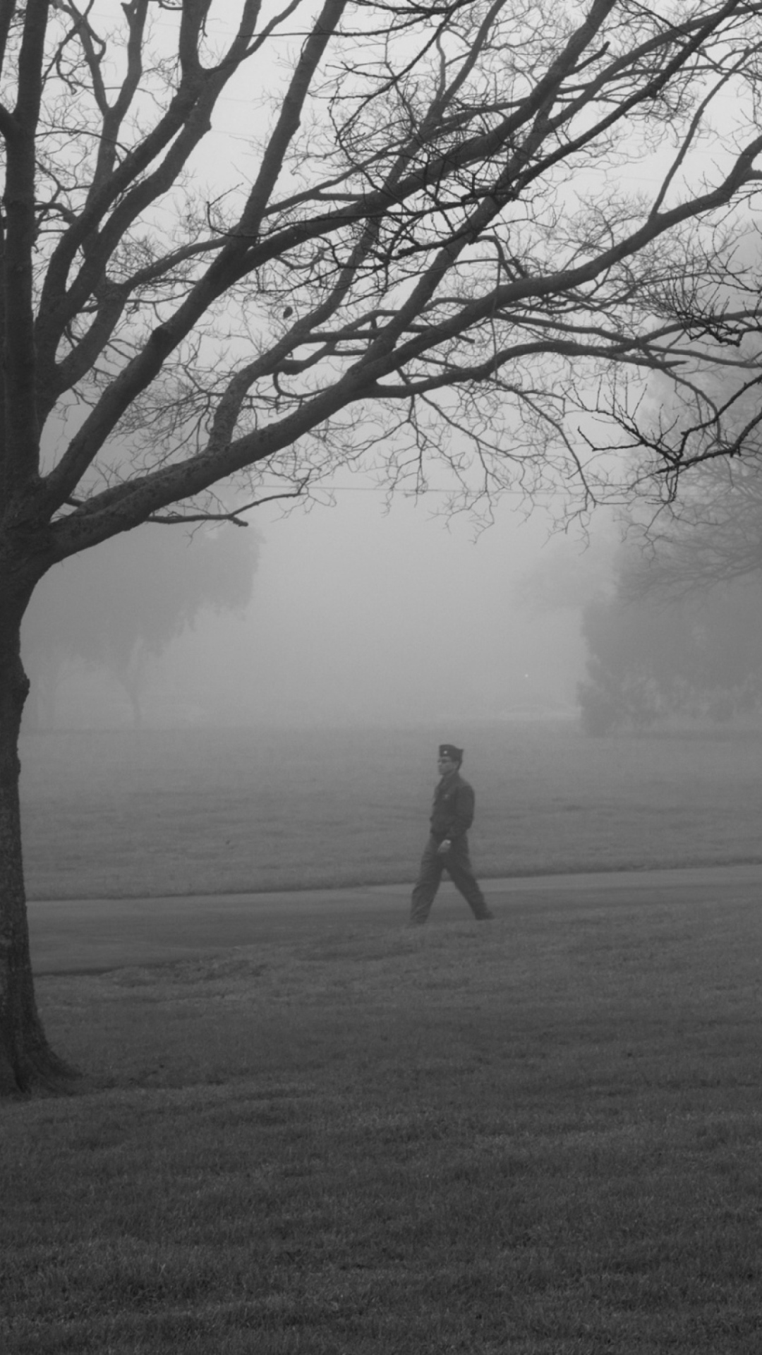 Sfondi Winter Fog 1080x1920