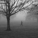 Winter Fog screenshot #1 128x128
