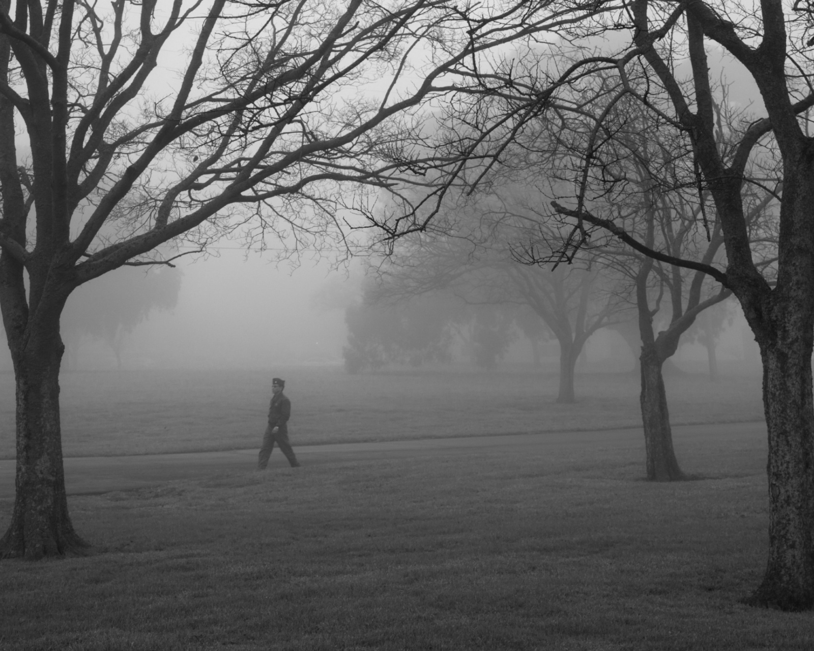 Winter Fog screenshot #1 1600x1280
