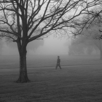 Winter Fog screenshot #1 208x208
