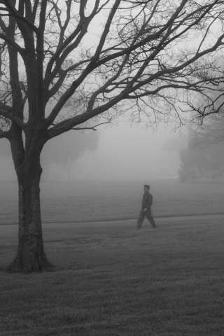 Winter Fog screenshot #1 320x480