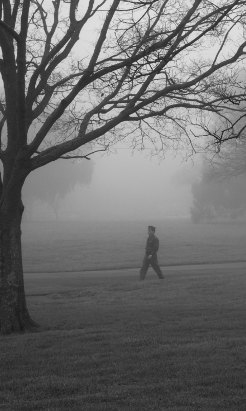 Winter Fog screenshot #1 480x800