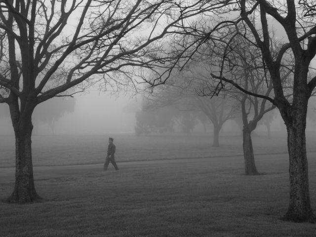 Winter Fog screenshot #1 640x480