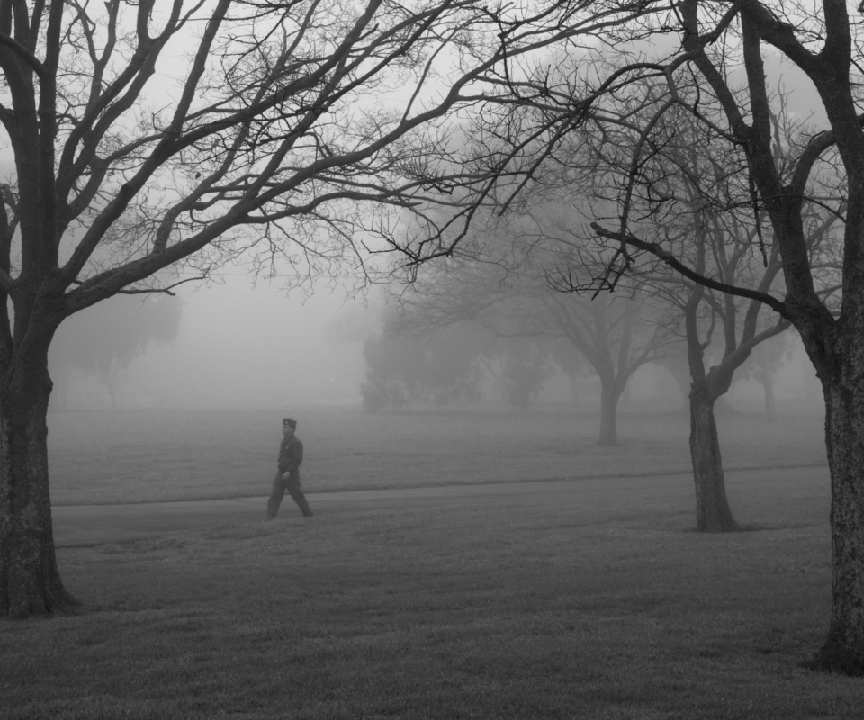 Winter Fog screenshot #1 960x800