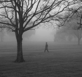 Winter Fog - Obrázkek zdarma pro iPad Air