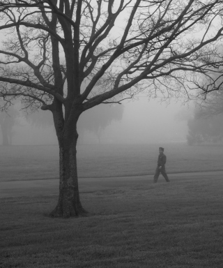 Winter Fog - Obrázkek zdarma pro iPhone 5S