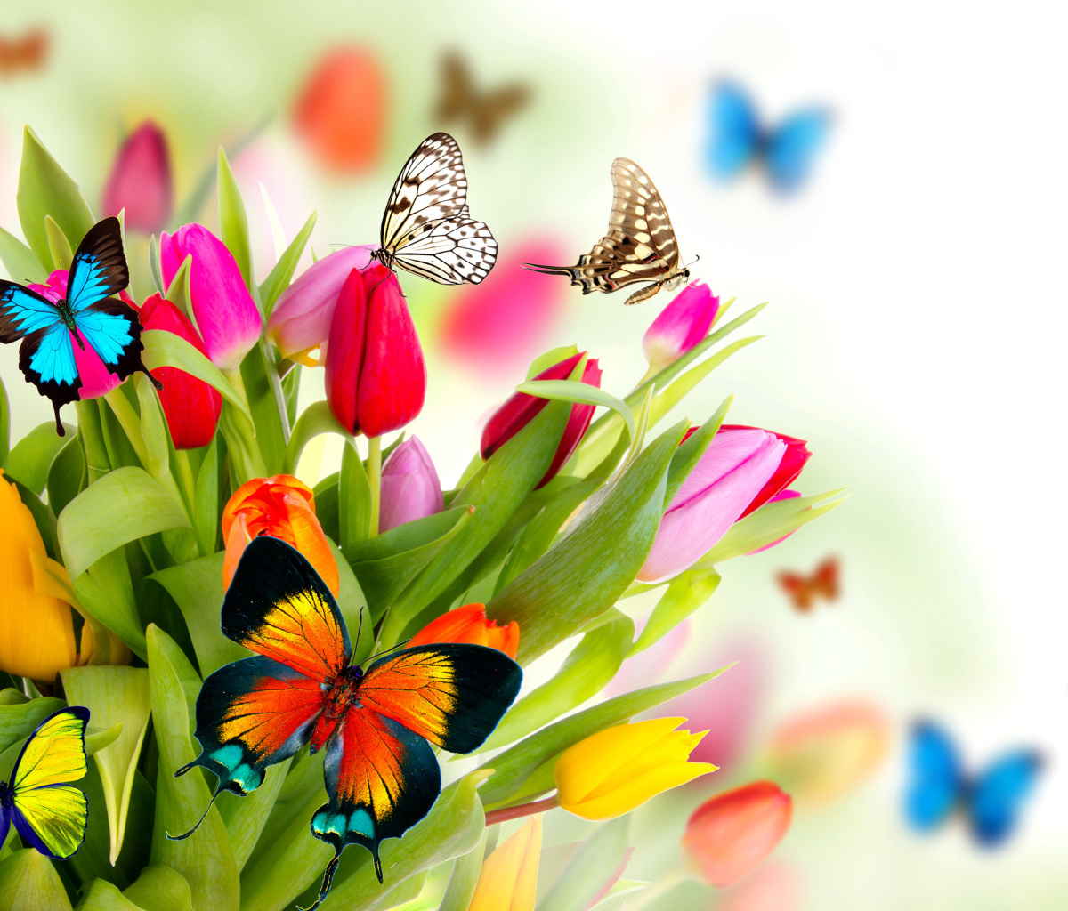 Das Tulips and Butterflies Wallpaper 1200x1024