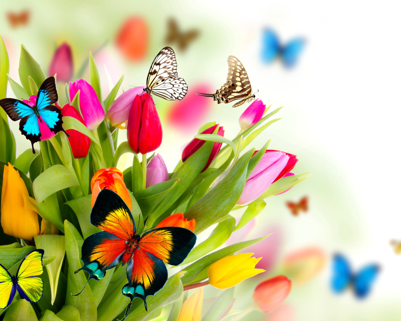 Das Tulips and Butterflies Wallpaper 1280x1024