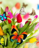 Fondo de pantalla Tulips and Butterflies 128x160