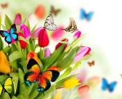 Screenshot №1 pro téma Tulips and Butterflies 176x144