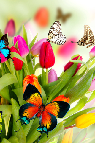 Screenshot №1 pro téma Tulips and Butterflies 320x480