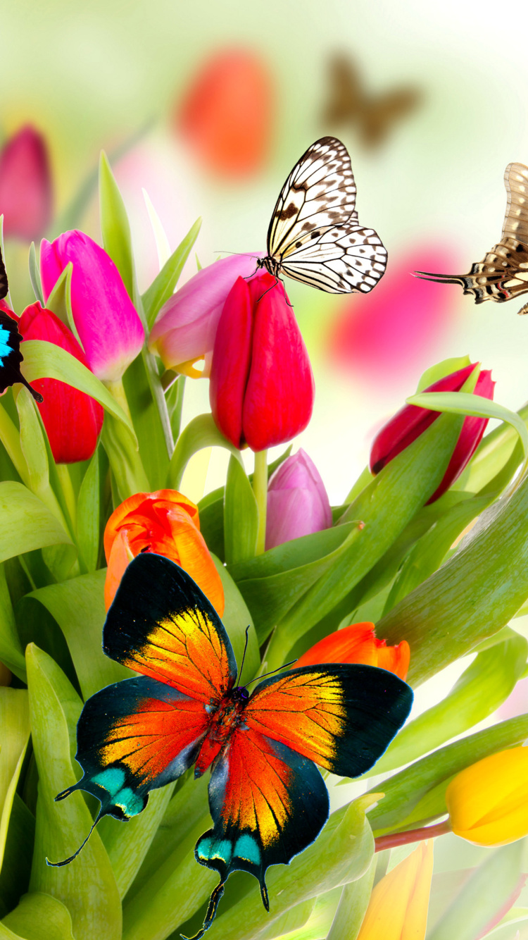 Tulips and Butterflies wallpaper 750x1334