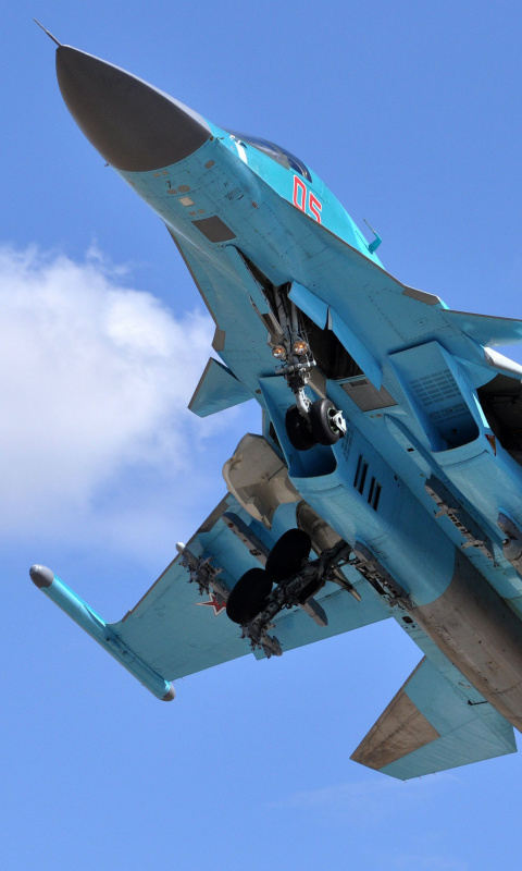 Fondo de pantalla Sukhoi Su 34 Strike Fighter 480x800