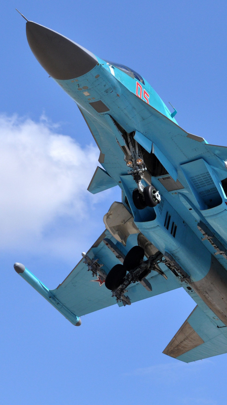 Обои Sukhoi Su 34 Strike Fighter 750x1334