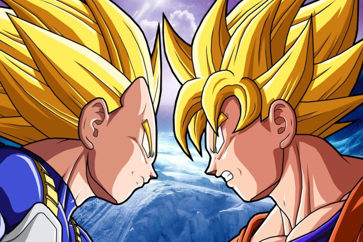 Goku Vs Vegeta wallpaper