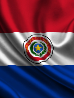 Fondo de pantalla Flag of Paraguay 240x320