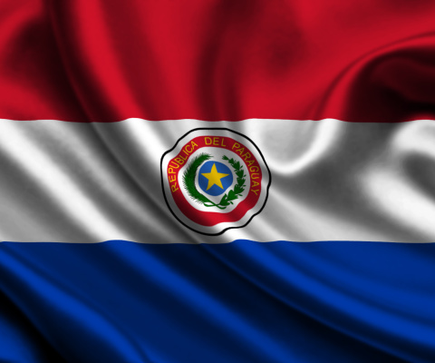 Flag of Paraguay wallpaper 480x400