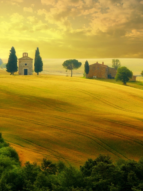 Tuscany - Discover Italy wallpaper 480x640