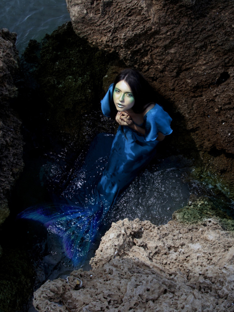 Das Blue Mermaid Hiding Behind Rocks Wallpaper 480x640
