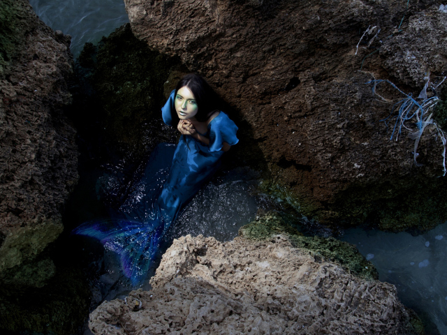 Das Blue Mermaid Hiding Behind Rocks Wallpaper 640x480
