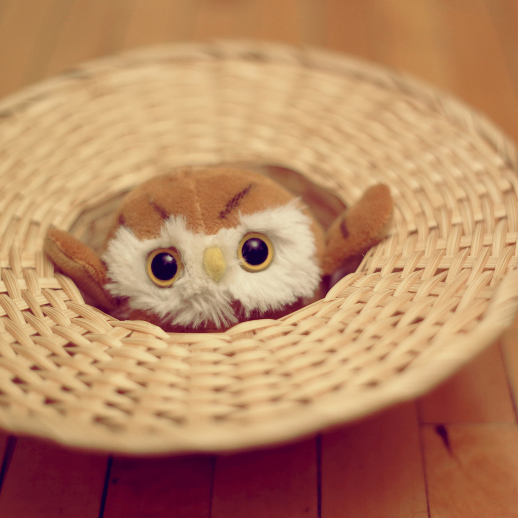 Cute Toy Owl wallpaper 1024x1024