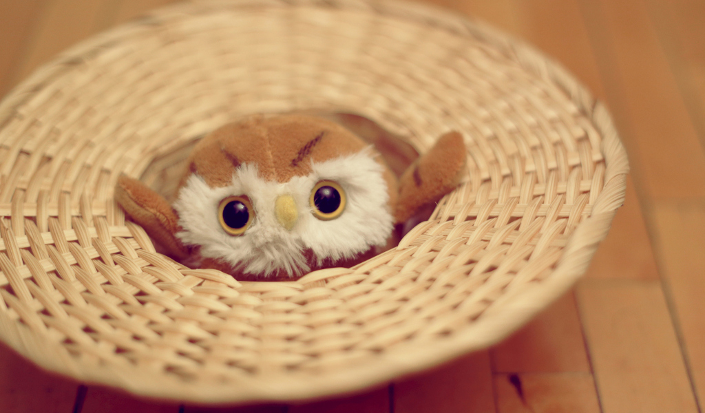 Das Cute Toy Owl Wallpaper 1024x600
