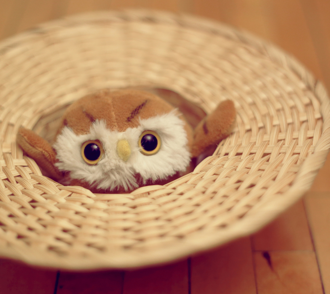 Cute Toy Owl wallpaper 1080x960