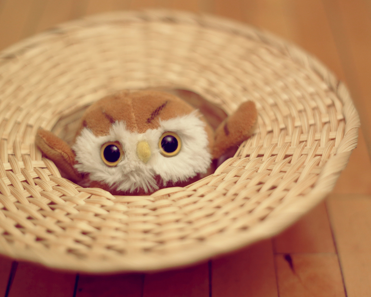 Cute Toy Owl wallpaper 1280x1024