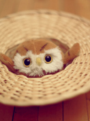 Sfondi Cute Toy Owl 132x176