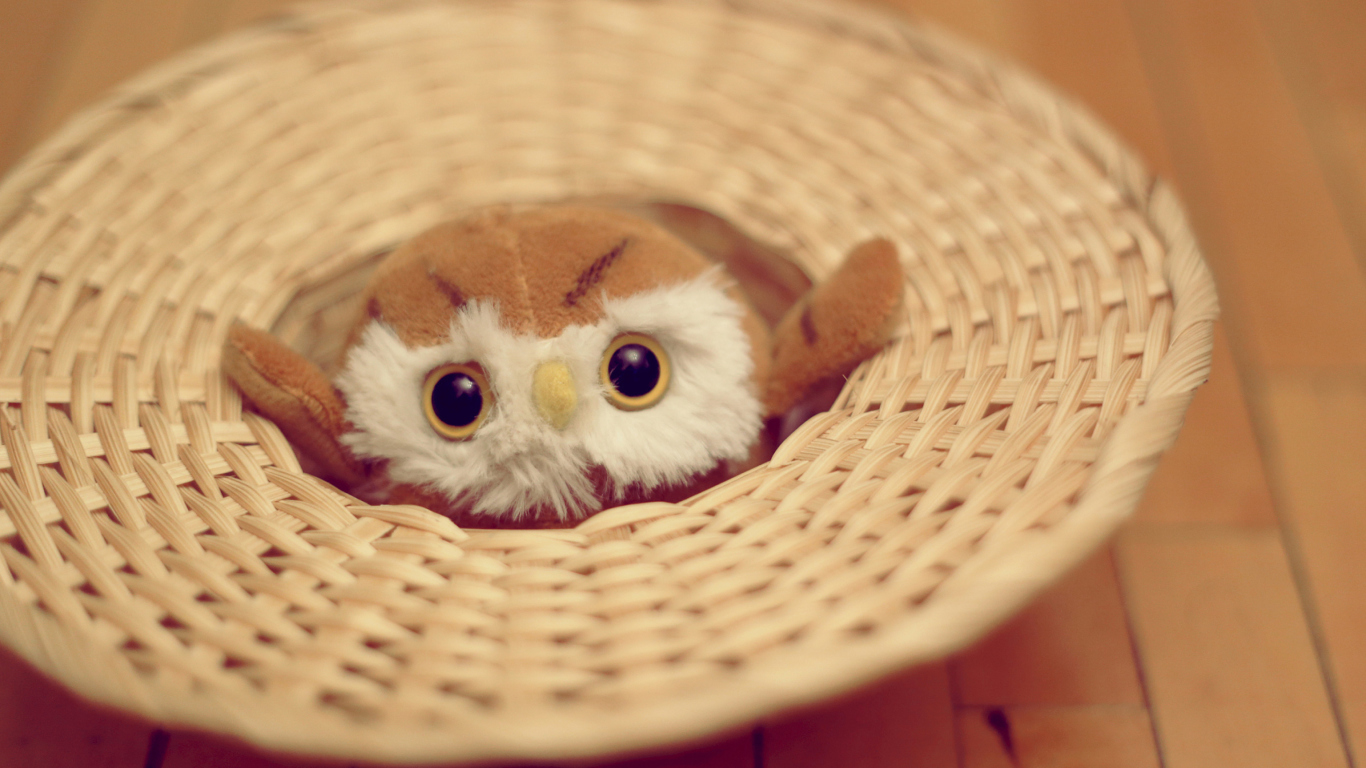 Screenshot №1 pro téma Cute Toy Owl 1366x768
