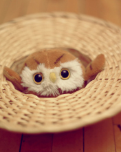 Das Cute Toy Owl Wallpaper 176x220