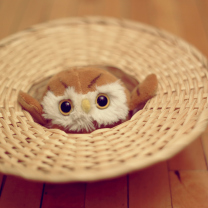 Das Cute Toy Owl Wallpaper 208x208