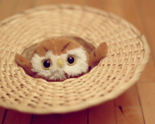 Cute Toy Owl wallpaper 220x176
