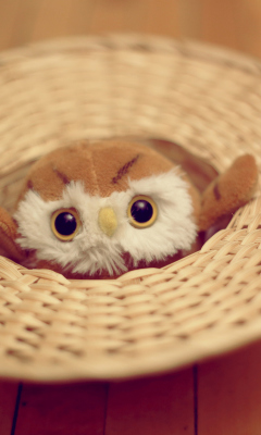 Das Cute Toy Owl Wallpaper 240x400