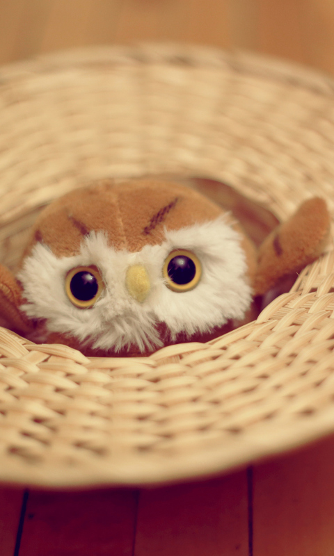 Cute Toy Owl wallpaper 480x800