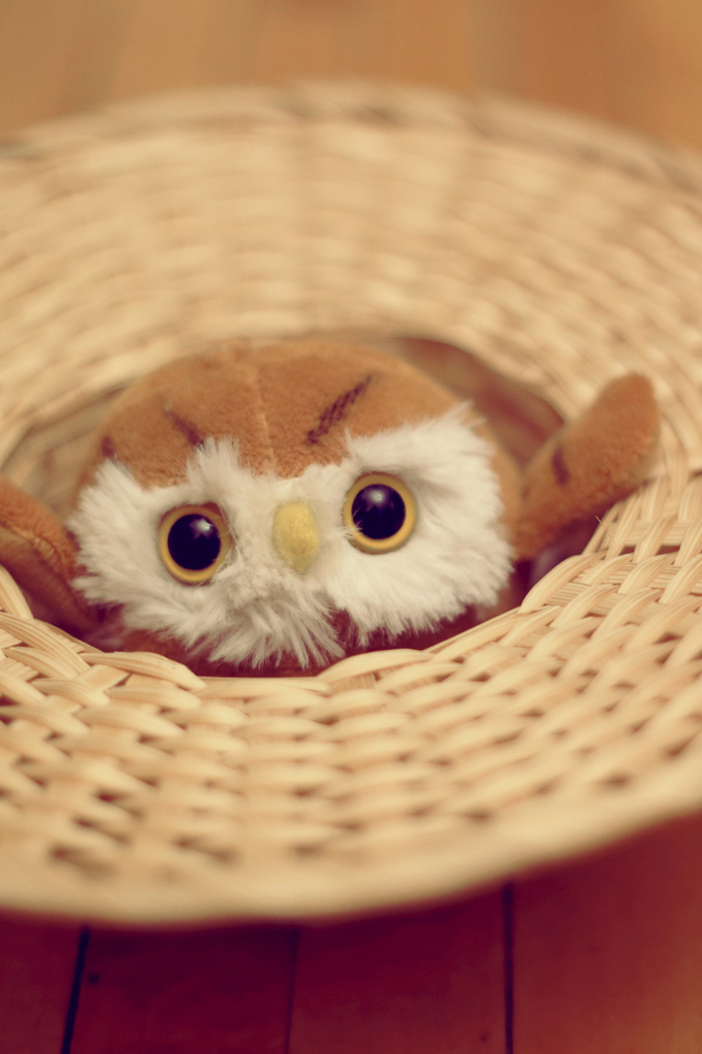 Das Cute Toy Owl Wallpaper 640x960