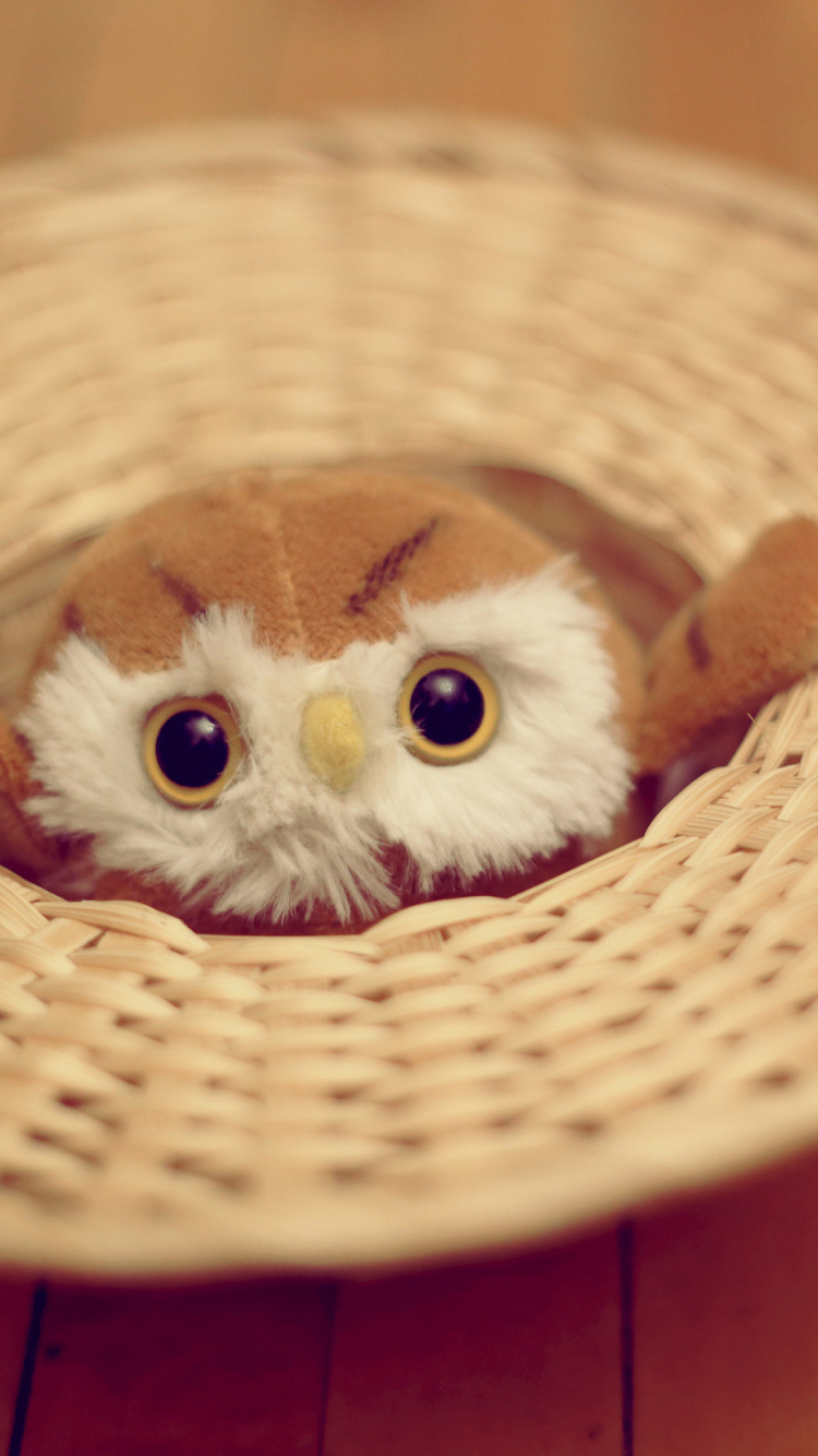 Das Cute Toy Owl Wallpaper 750x1334