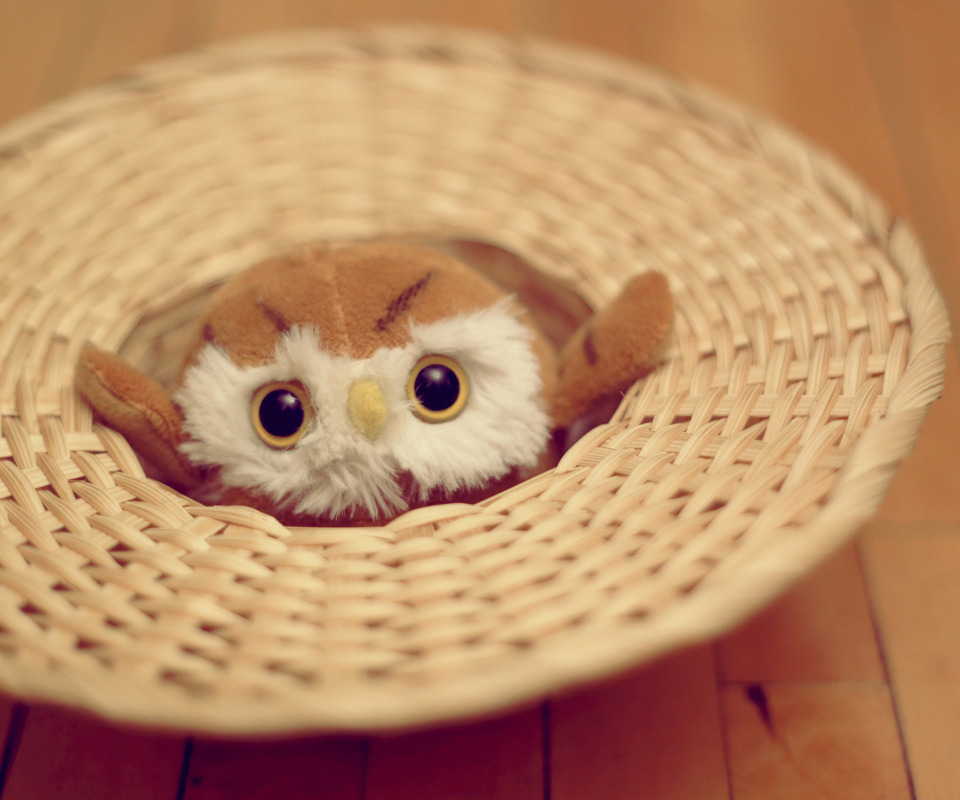 Das Cute Toy Owl Wallpaper 960x800