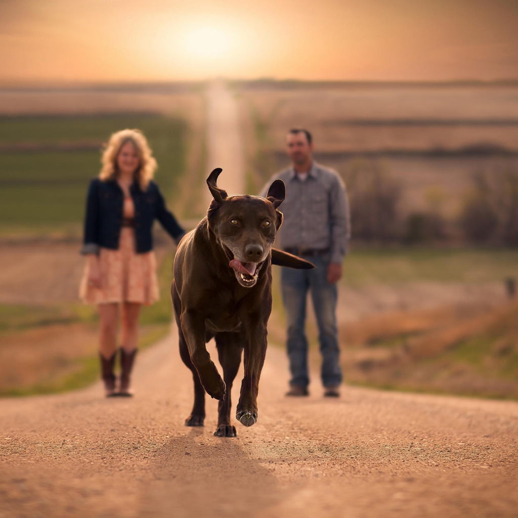 Das Happy Dog Run Wallpaper 1024x1024