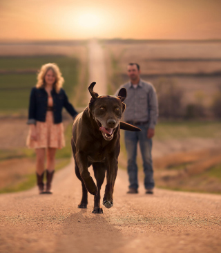 Happy Dog Run - Obrázkek zdarma pro iPhone 5