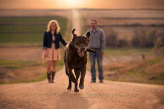 Happy Dog Run - Obrázkek zdarma pro Sony Xperia Z3 Compact