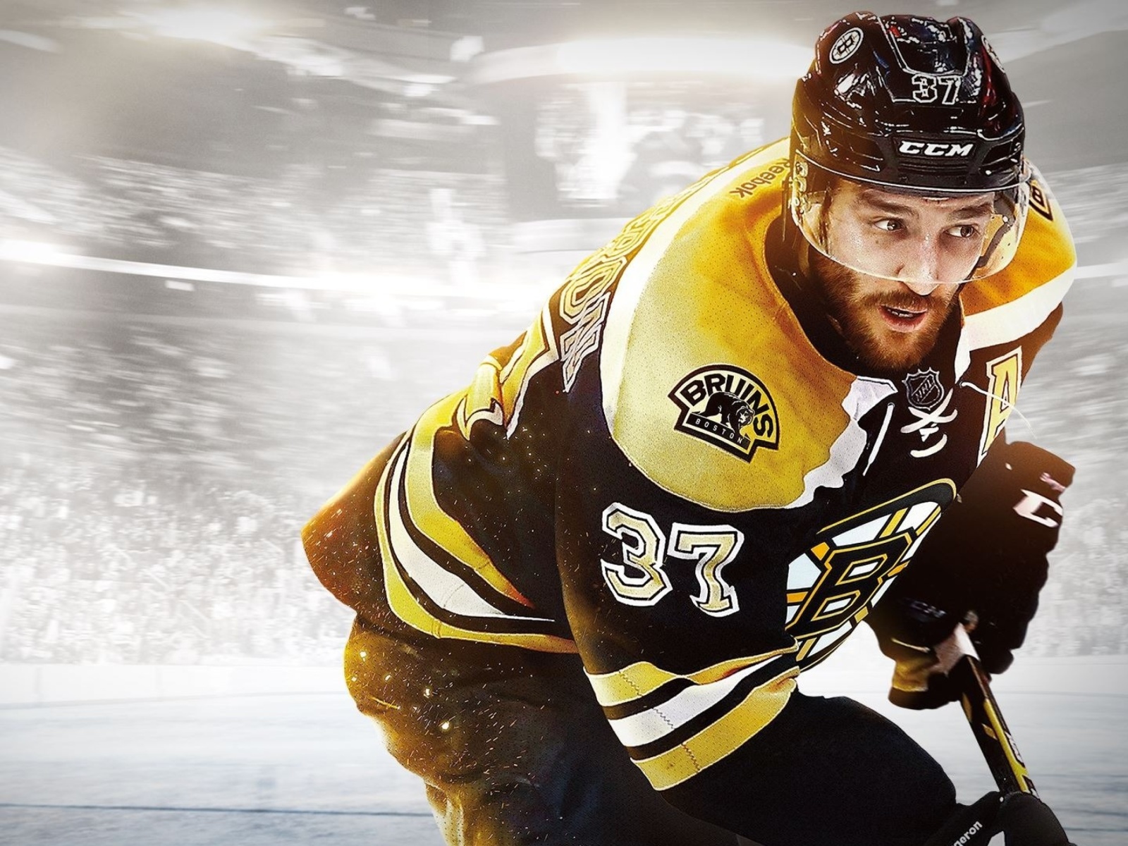 Das NHL Boston Bruins Wallpaper 1600x1200